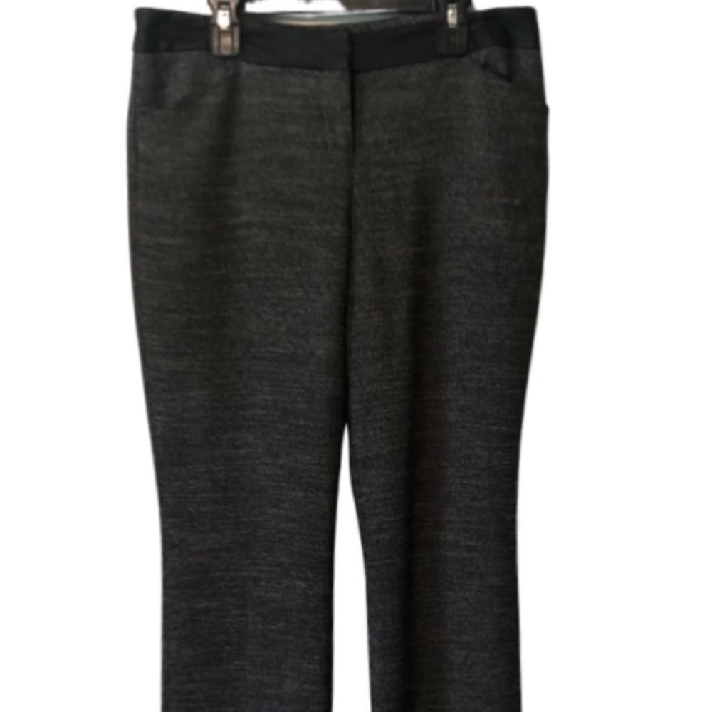 Express Casual Pants